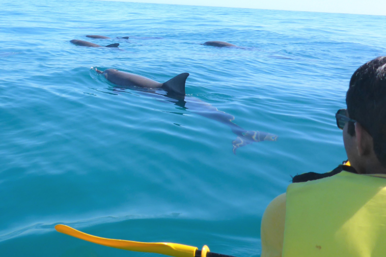 202601281034-6641386941.png image.png