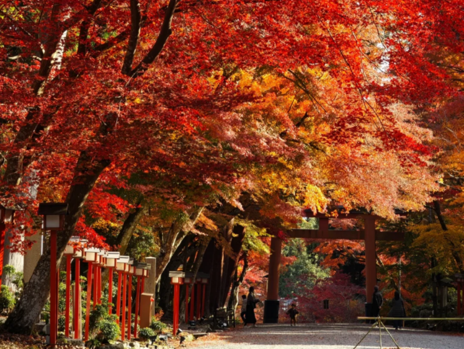 202601281042-1046754703.png 企业微信截图_17695674658437.png