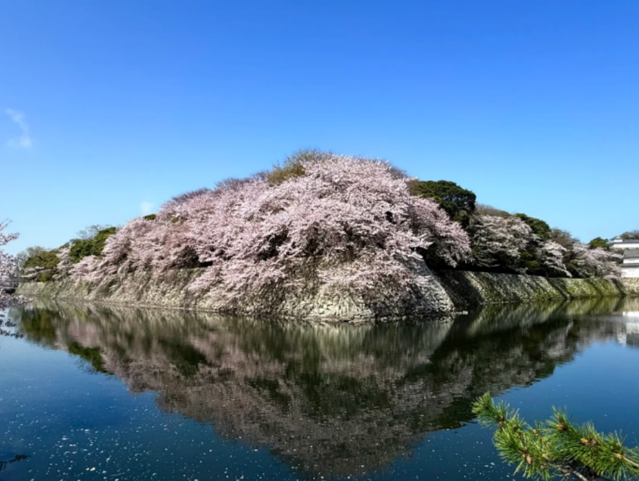 202601281042-8014538793.png 企业微信截图_17695669587701.png