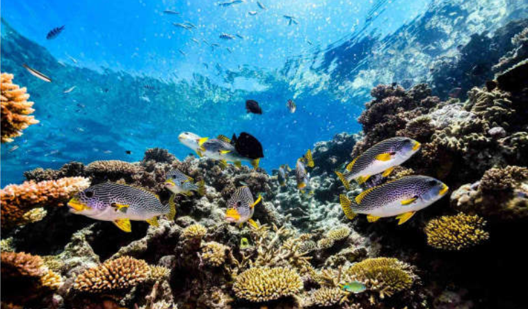 202601281052-6686953350.png image.png