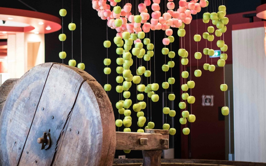 202601281106-5307388412.jpg undefined (1).jpg