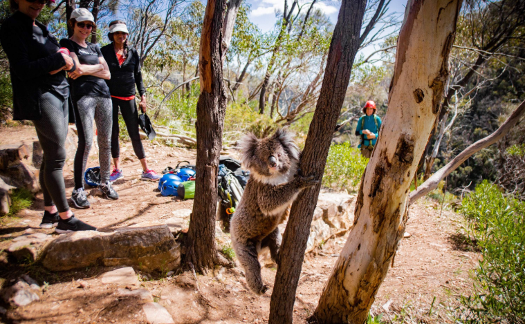 202601281139-1880842506.png image.png