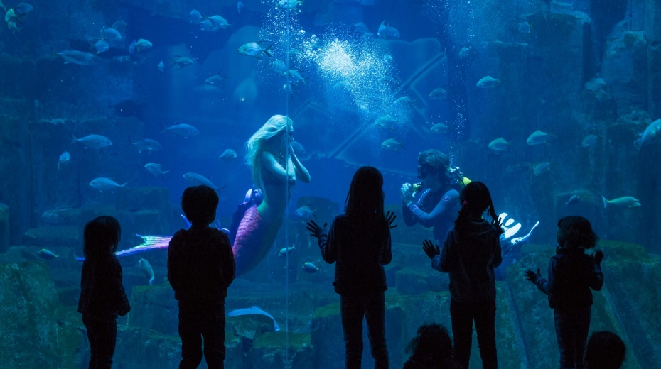 202601281459-9614494581.jpg dssuwgg0dmputywxjhvr.jpg