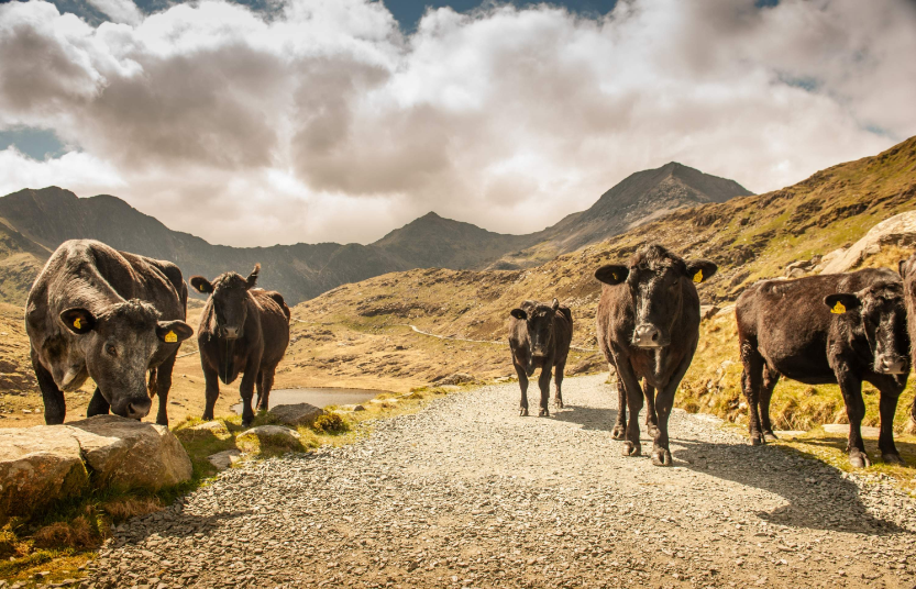 202601281605-5836425192.png image.png