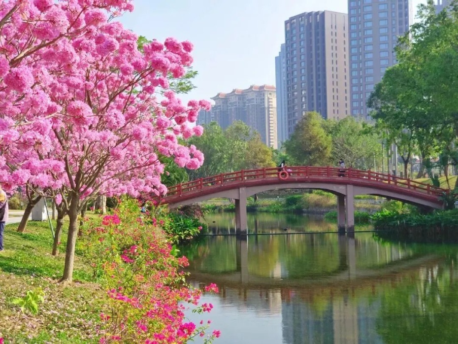 202601281820-6033892785.jpg 02 (1).jpg