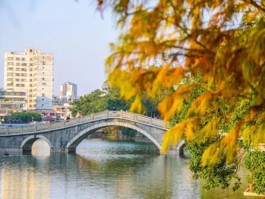 202601281821-1367861854.jpg 002 (1).jpg