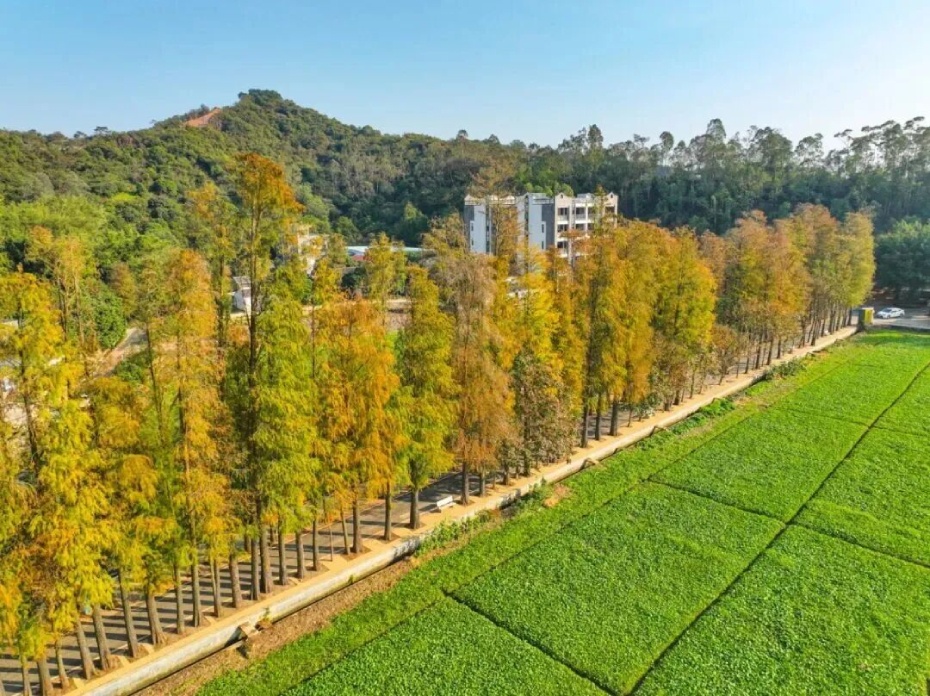 202601281821-8975084969.jpg 004 (1).jpg