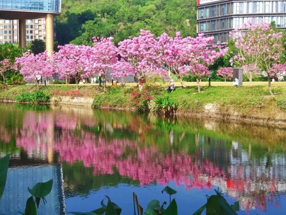 202601281821-9084557224.jpg 03 (1).jpg