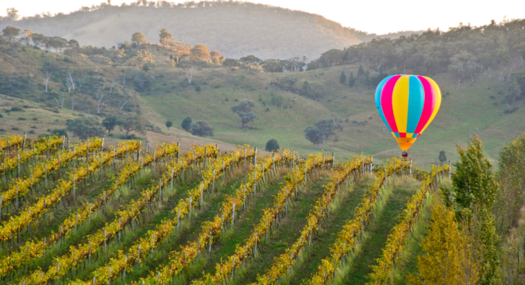 202601290926-7743999652.png image.png