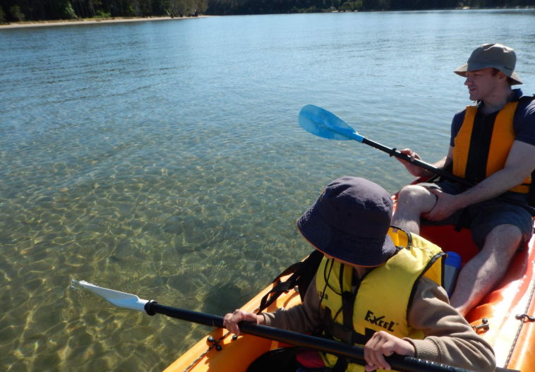 202601291125-5641252665.png image.png