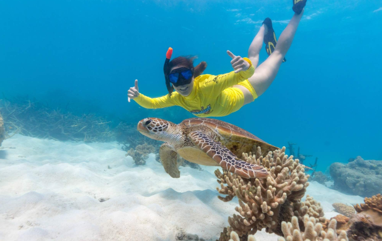 202601291138-2116561606.png image.png