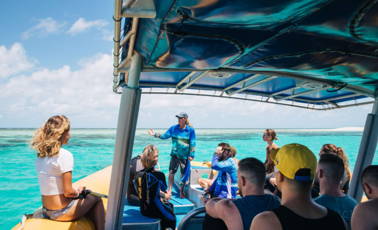 202601291138-8364295801.png image.png