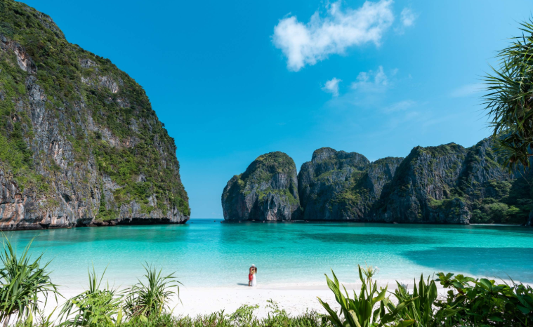 202601291435-9383421820.png image.png