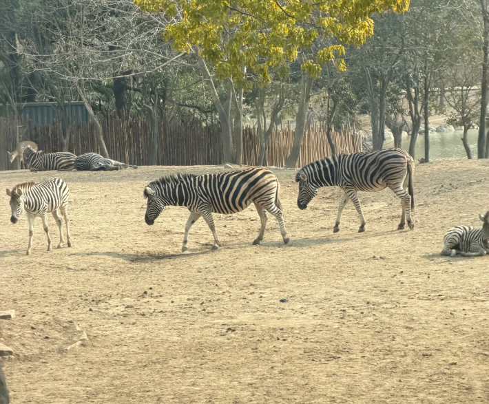 202601291620-8847443268.png image.png