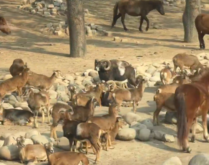 202601291620-9886140997.png image.png