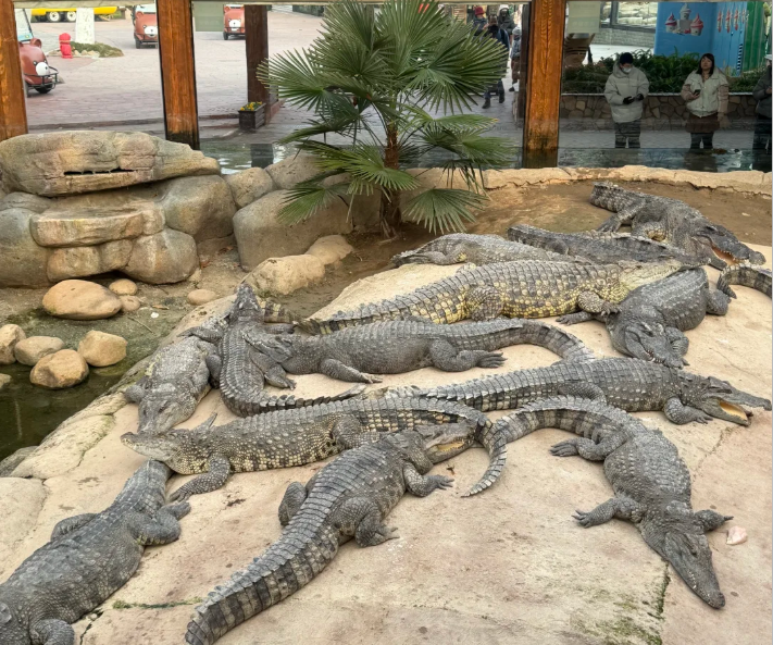 202601291621-8461548446.png image.png