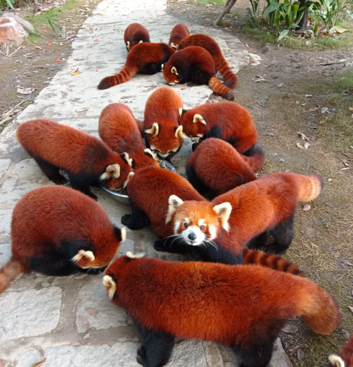 屏幕截图 2026-01-29 162751.png