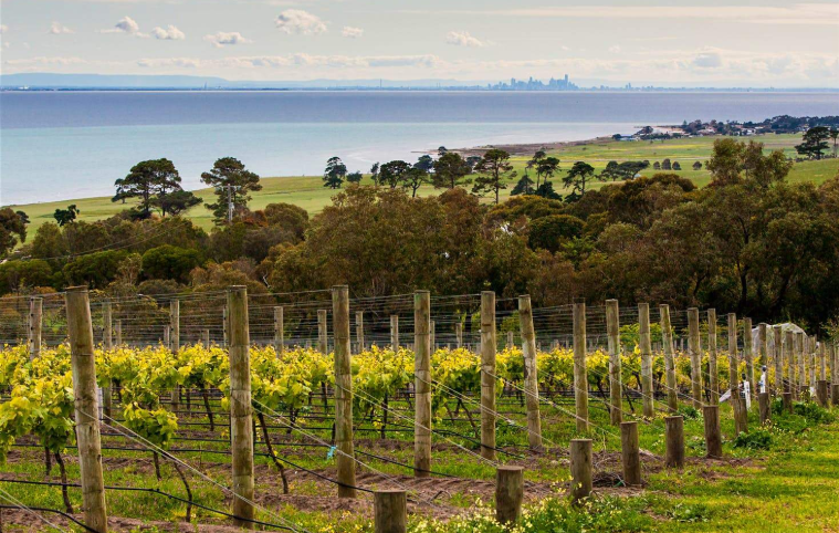 202601301153-9192677941.png image.png