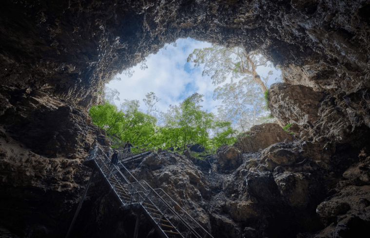 202601301455-3088141083.png image.png