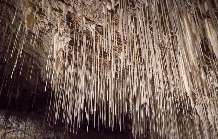 202601301455-7232032126.png image.png