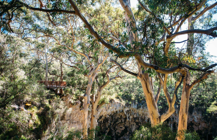 202601301455-7267273575.png image.png