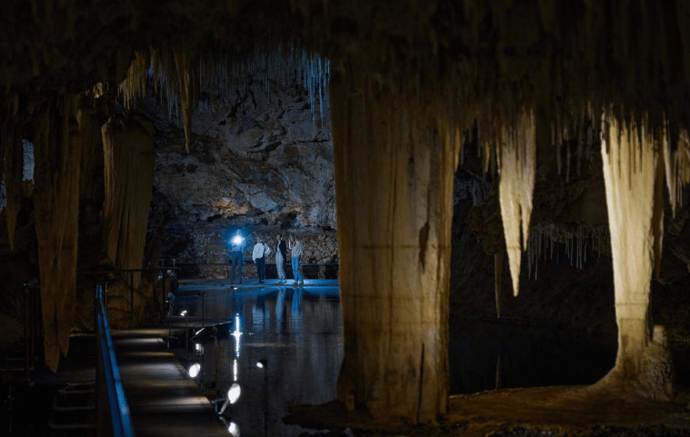 202601301456-7896113131.png image.png