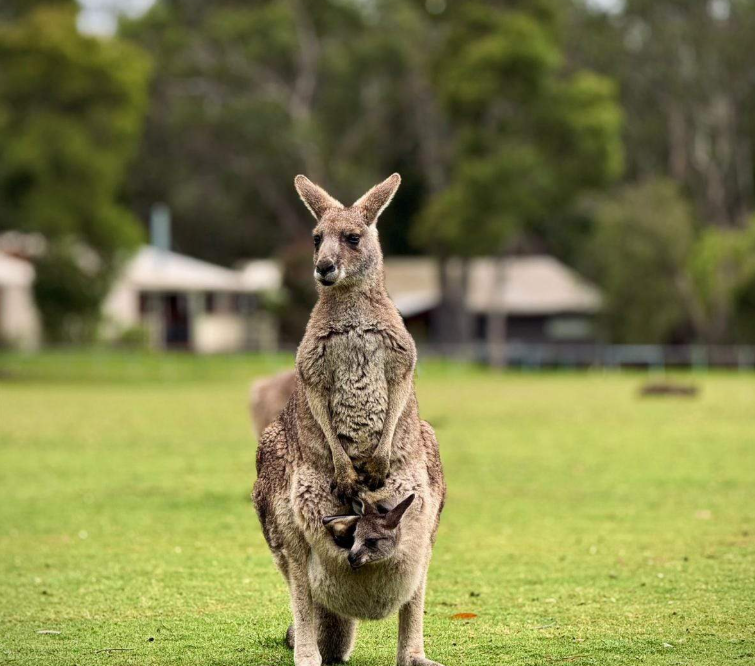 202601301514-3062962395.png image.png