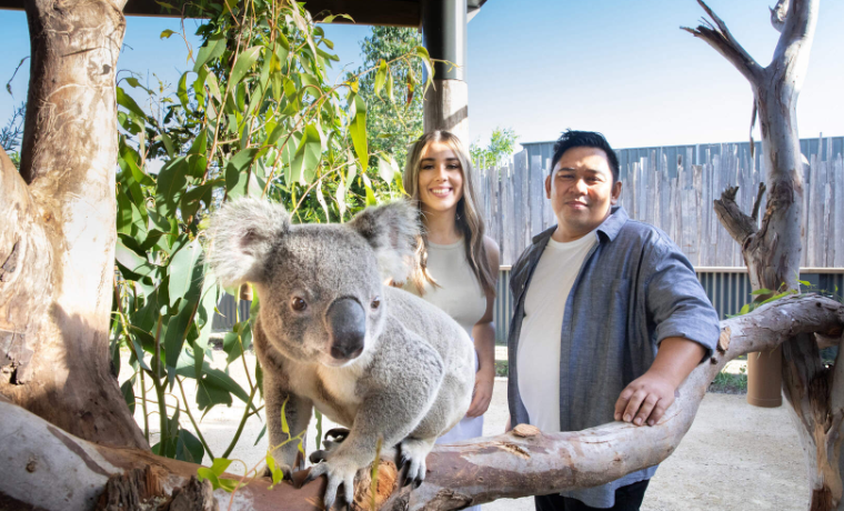 202601301523-4597840772.png image.png