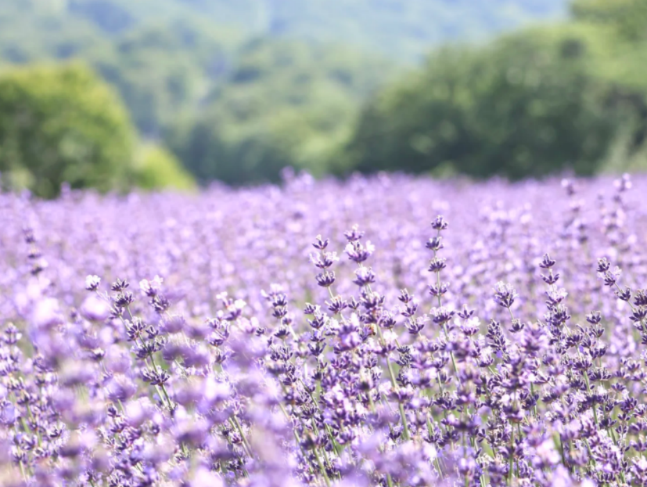 202601301630-4847141065.png 企业微信截图_17697612791070.png