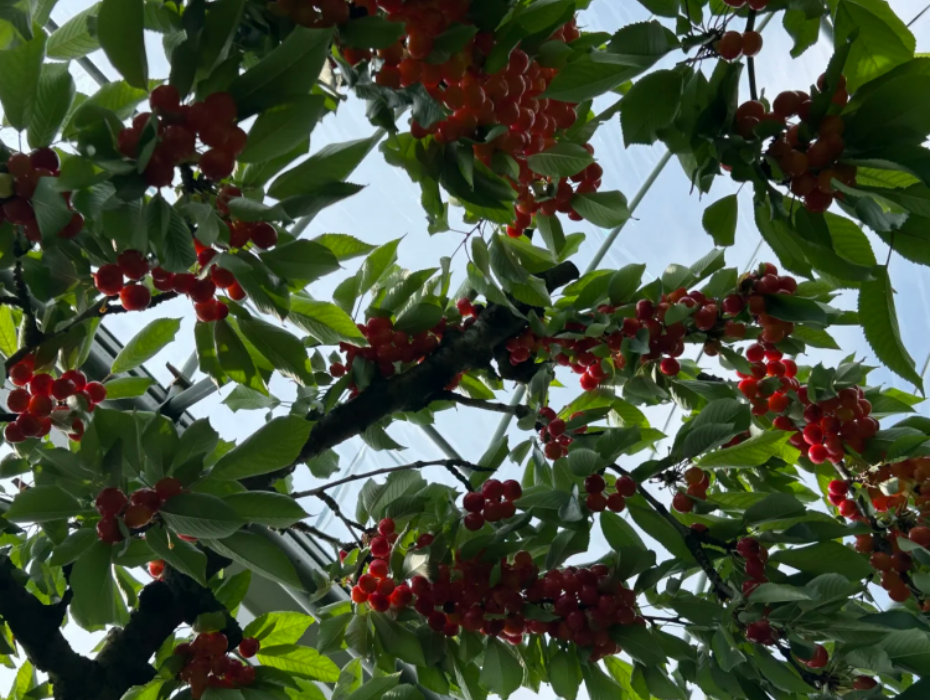 202601301630-7554875442.png 企业微信截图_17697609862599.png