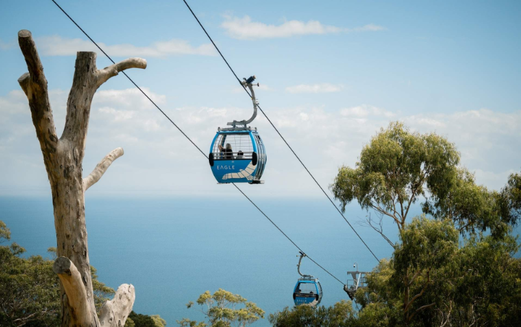 202601301658-8379535134.png image.png