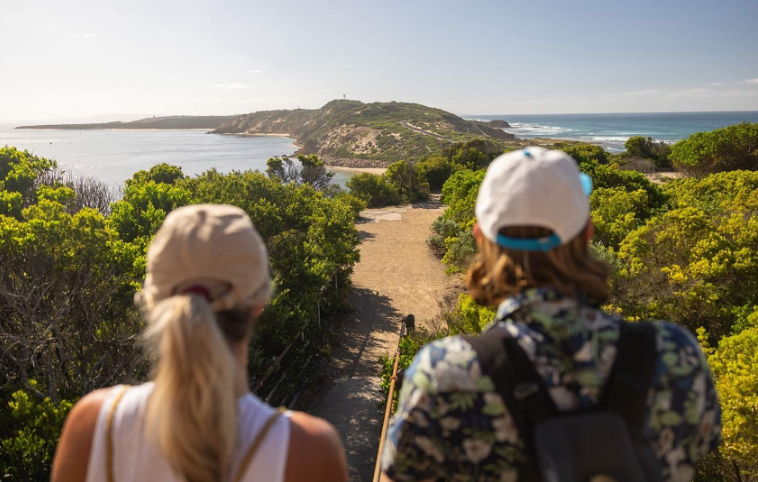 202601301658-8967275931.png image.png