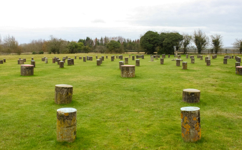 202601301714-2740161035.png image.png