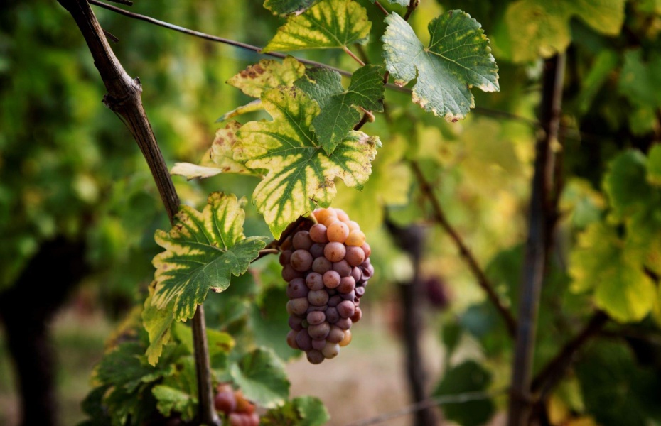 202601301714-4567125005.jpg undefined (4).jpg