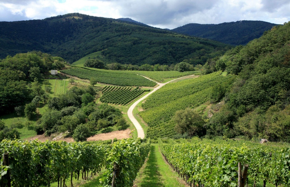 202601301714-4805378144.jpg undefined (2).jpg