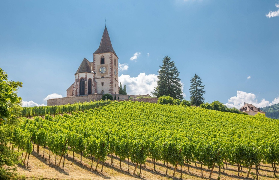 202601301714-8257585706.jpg undefined (3).jpg