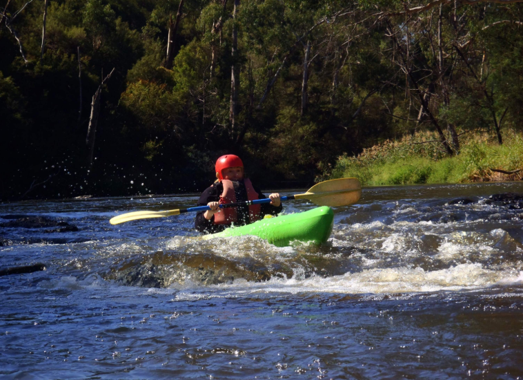 202602021018-7824590206.png image.png