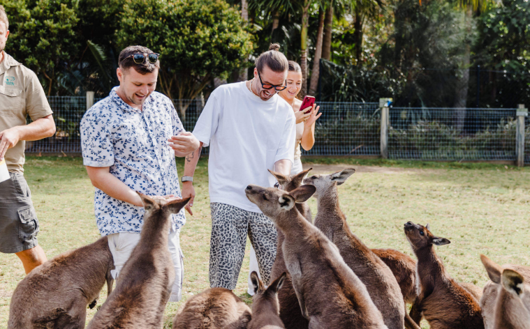 202602021143-2439634540.png 屏幕截图 2026-02-02 113958.png