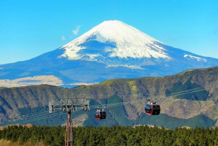 202602021313-3642098430.png image.png