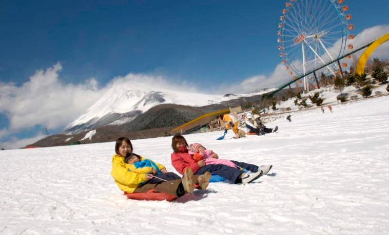 202602021314-9471686695.png image.png