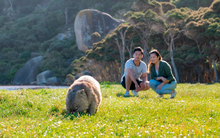 202602021454-1004164077.png image.png