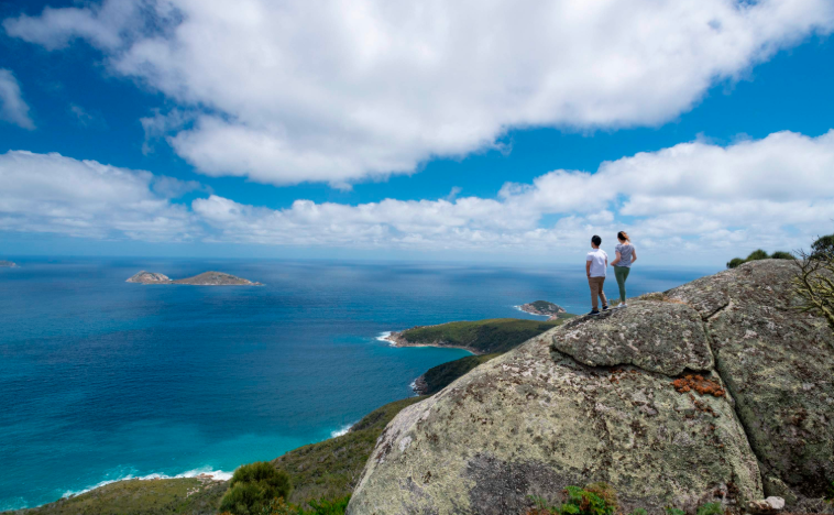 202602021455-9644478992.png image.png