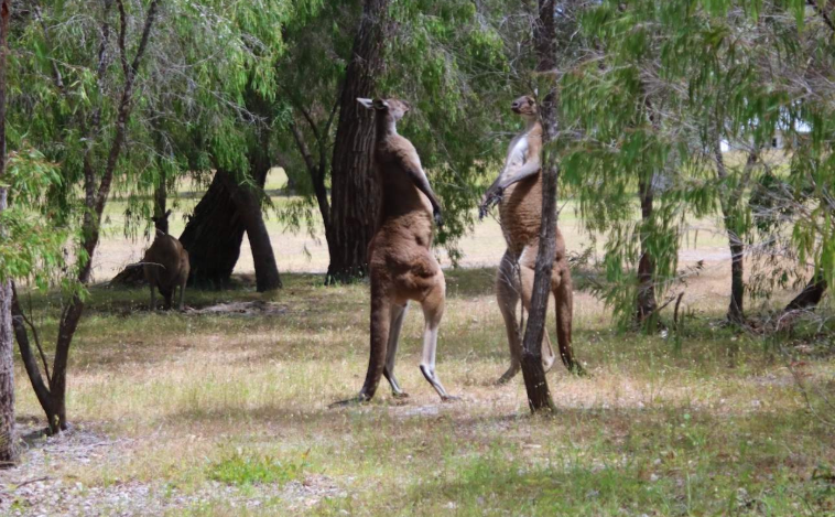 202602021534-5096940486.png image.png