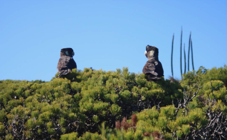 202602021535-2414652641.png image.png