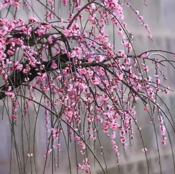 202602021622-9323286290.png image.png