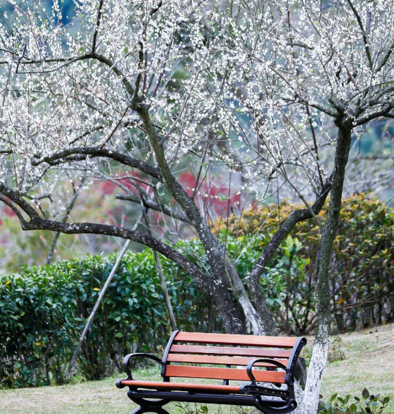 202602021623-8684918416.png image.png