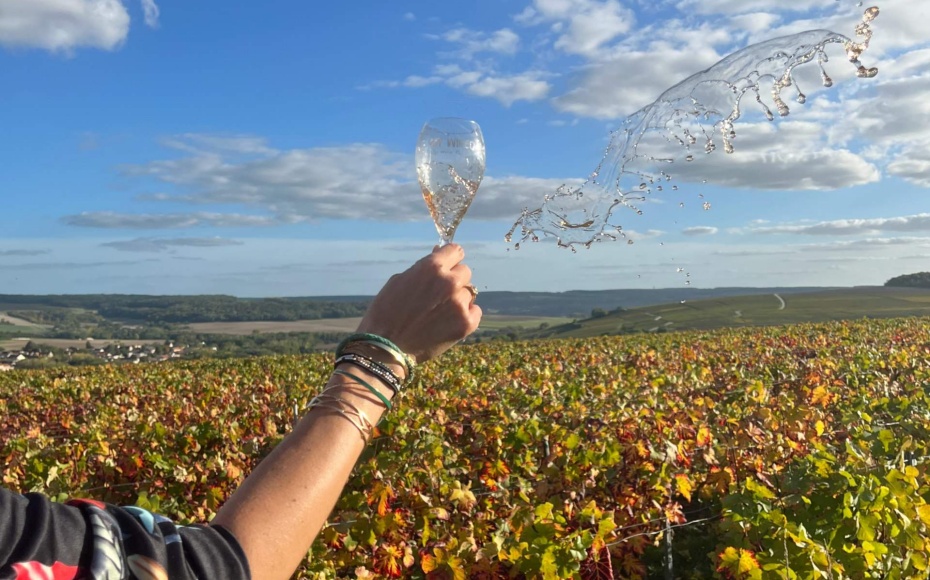 202602021631-3748682302.jpg undefined (6).jpg