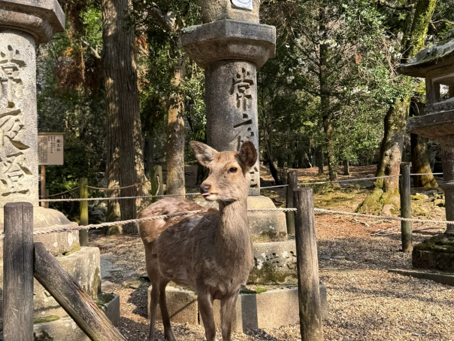 202602021648-9862604799.png 企业微信截图_17700220414371.png