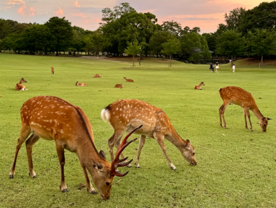 202602021649-3727029389.png 企业微信截图_17693980513193.png