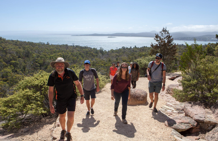 202602031020-2807884488.png image.png